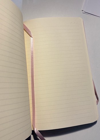 İKİLİ AJANDA - Görsel 5