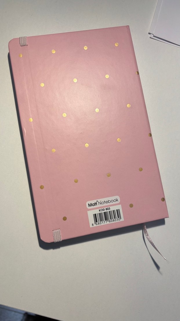 İKİLİ AJANDA - Görsel 3