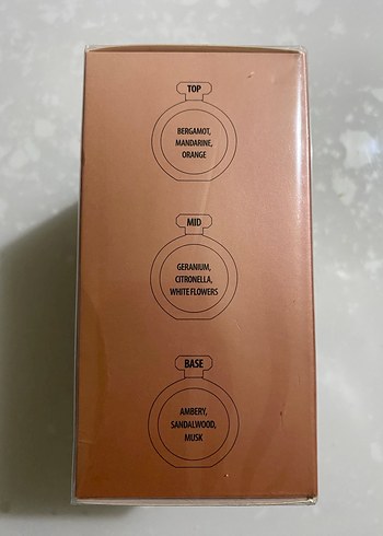 Repute Essentials Rose Kadın Parfümü - Görsel 2