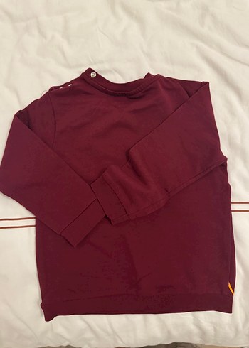 Bordo Aslan Baskılı Erkek bebek Sweatshirt - Görsel 4