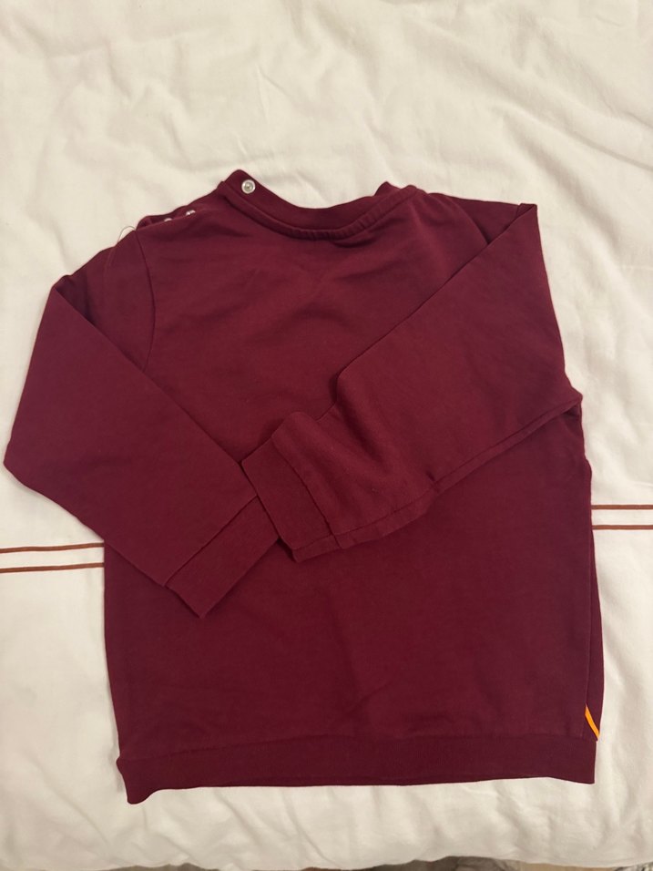 Bordo Aslan Baskılı Erkek bebek Sweatshirt - Görsel 4