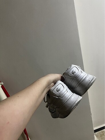 36 Beden Lacoste