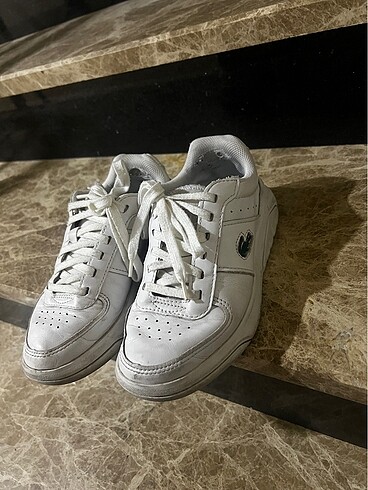 36 Beden Lacoste
