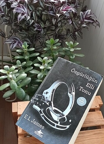 Özgürlüğün Elli Tonu
