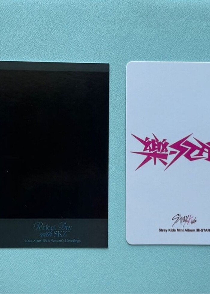 Chan KMS SKZOO POB ve Seasons Greetings Pola POB photocard skz - Görsel 4