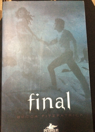 diğer Beden Hush hush serisi son kitap final 