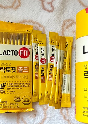 Lacto Fit Gold Probiyotik Toz