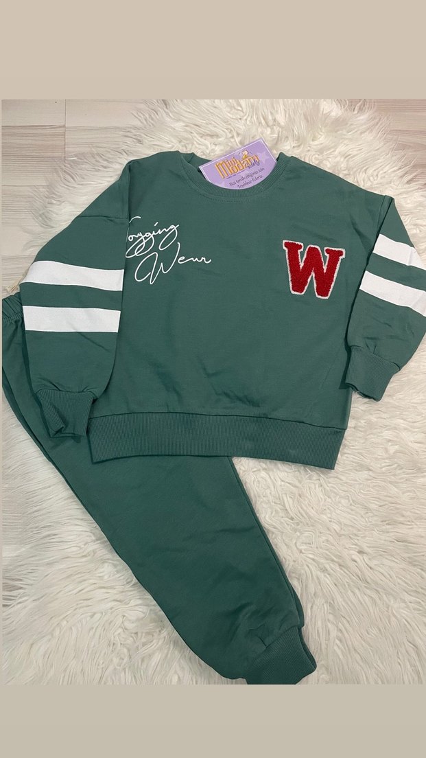 Mavi Çocuk Sweatshirt ve Eşofman Takımı - Görsel 4