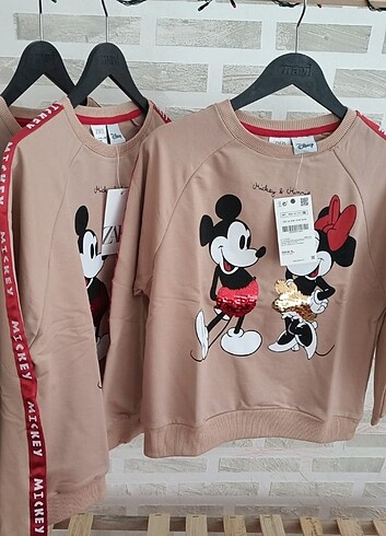 Mickey mouse sweatshirt ??