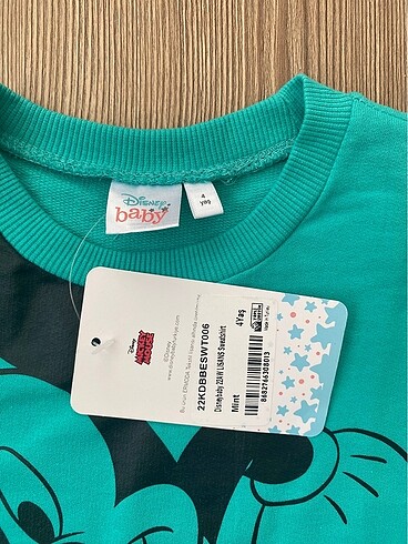 Walt Disney World Sweat