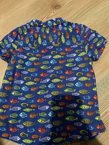 24-36 Ay Beden çeşitli Renk Lcw gömlek