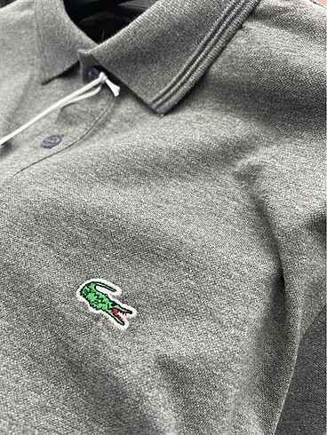 xxl Beden gri Renk Lacoste polo yaka