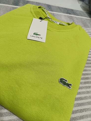 LACOSTE SWEAT