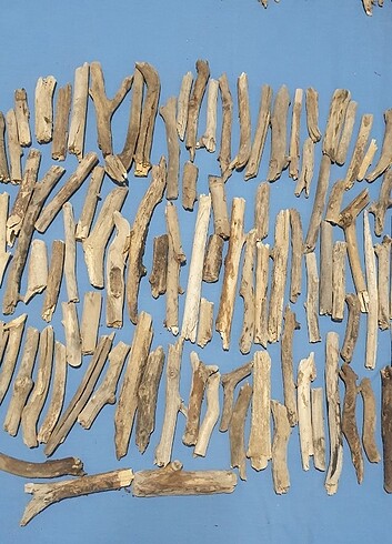 Diğer 10-22 cm, kalın, 95 adet Lodos Dalı