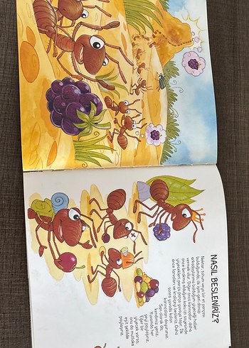 Keşfedin Karıncalar - Çocuk Kitabı - Görsel 2