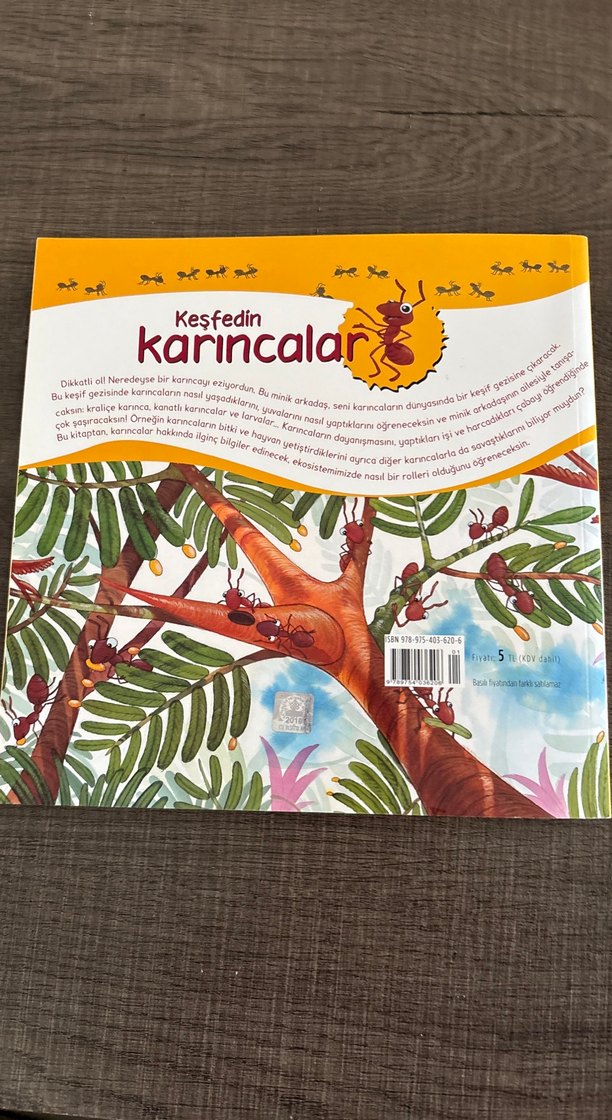 Keşfedin Karıncalar - Çocuk Kitabı - Görsel 3