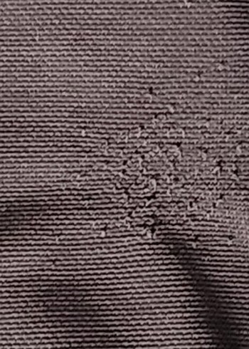 Gri Mini Düğmeli Kadın Ceket - Görsel 7