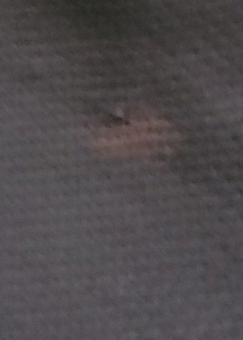 Gri Mini Düğmeli Kadın Ceket - Görsel 8