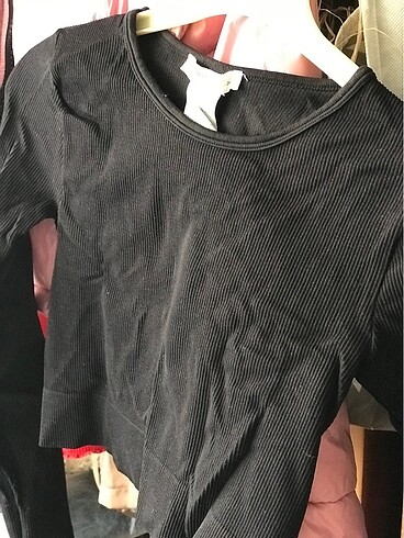 Pull and bear crop