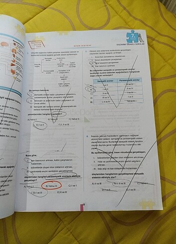 Beden Renk 345 Ayt Biyoloji