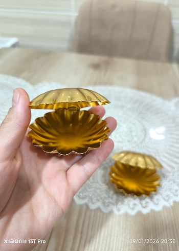 istiridye mini kahve yanı lokumluk - Görsel 2