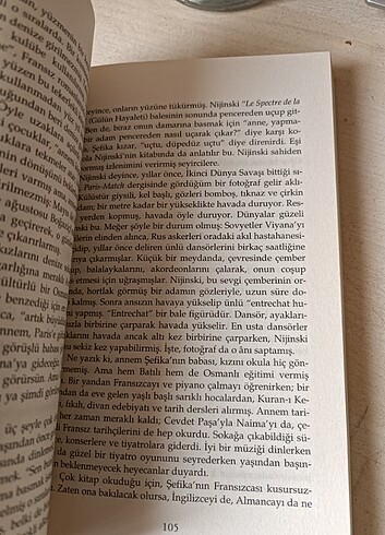  Bir Dinazorun Anıları