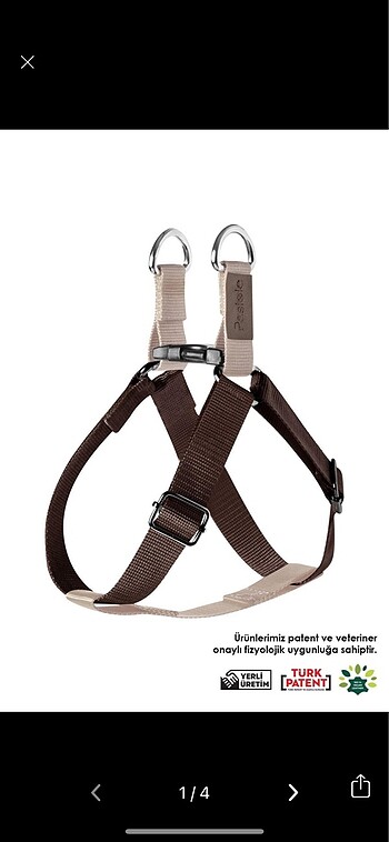 Pasiole Köpek Göğüs Tasması ve Darbe Emici Gezdirme Kayışı Set