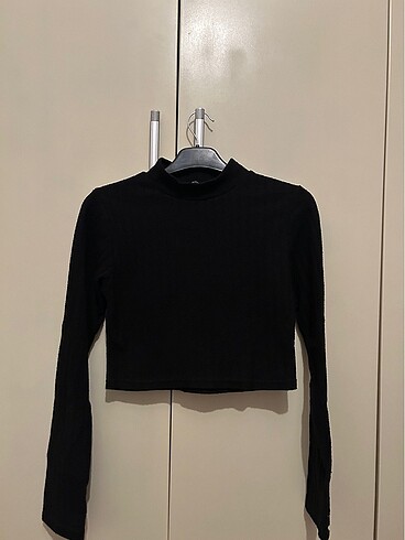 Crop model
