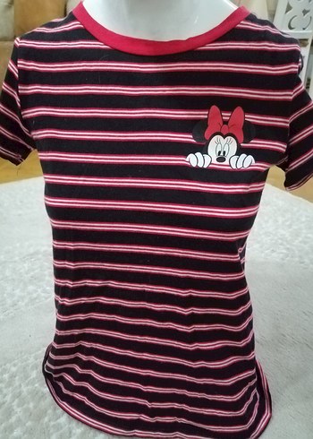 walt-disney-world xs