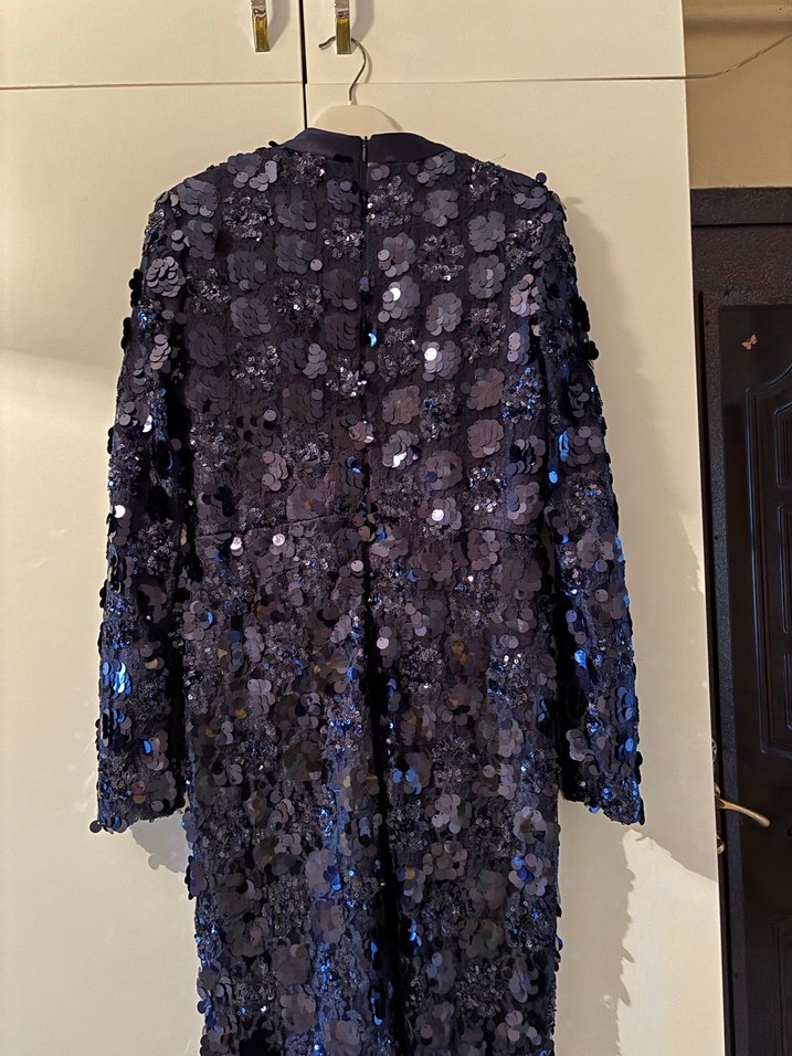 Kollu Uzun Abiye Elbise - Görsel 4