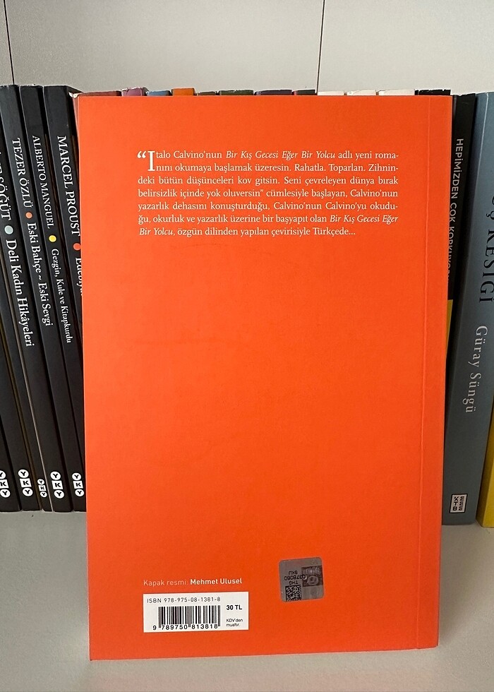 Bir kış gecesi eğer bir yolcu - Görsel 2