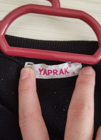 Diğer Sayılı kullanıldı