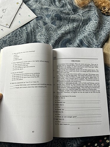  Beden READER AT WORK