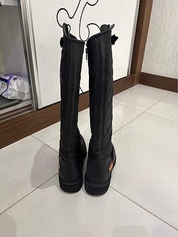 39 Beden Harley davidson