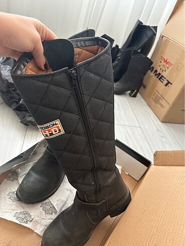 38 Beden Harley davidson bot