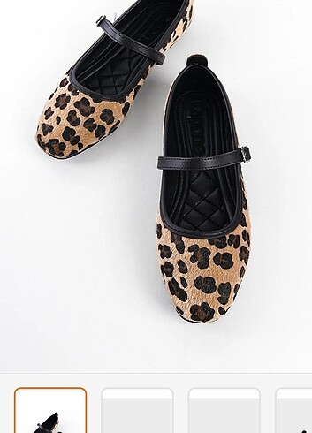 Capone leopar babet