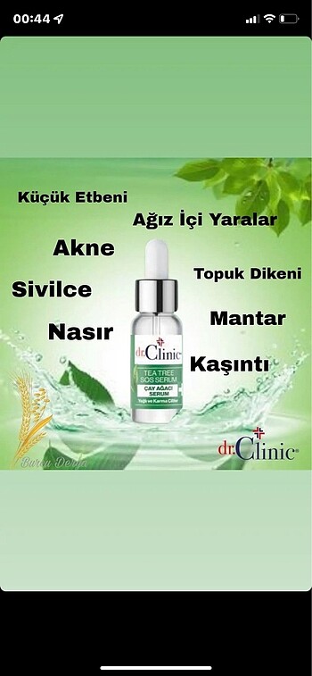Çay ağacı serumu ve kremi