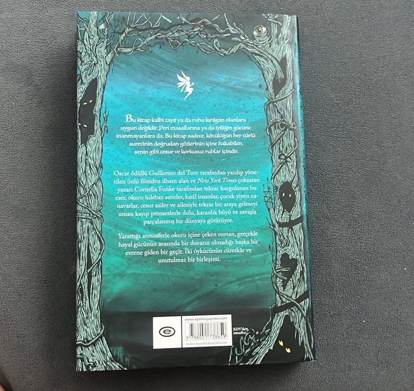 Pan'ın Labirenti Romanı - Görsel 2