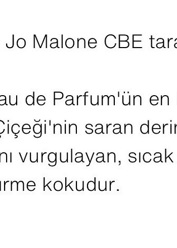 Zara ebony wood Parfüm - Görsel 2