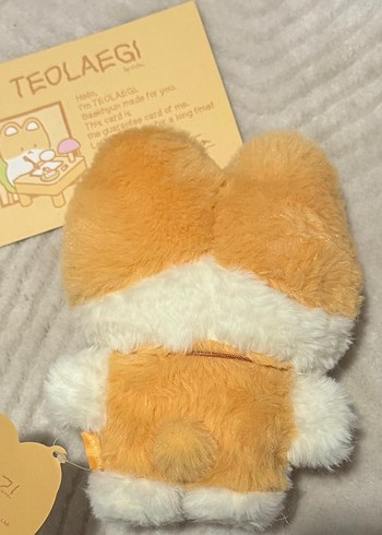 baekhyun teolaegi bebek orijinal - Görsel 2