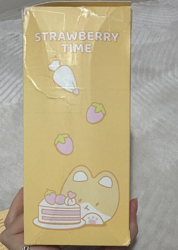 baekhyun teolaegi bebek orijinal - Görsel 5