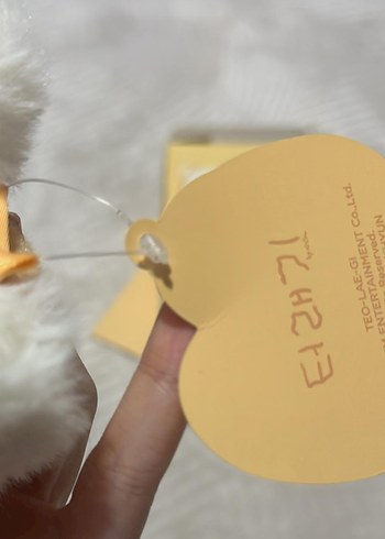 baekhyun teolaegi bebek orijinal - Görsel 4