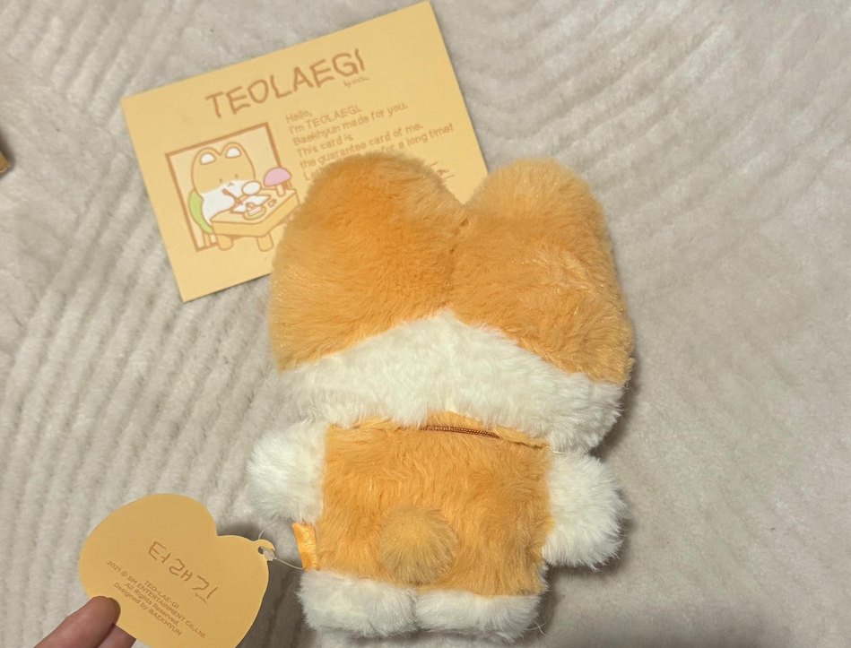 baekhyun teolaegi bebek orijinal - Görsel 2