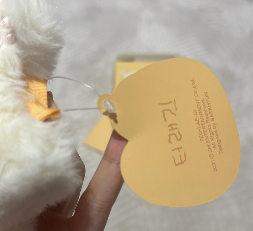 baekhyun teolaegi bebek orijinal - Görsel 4