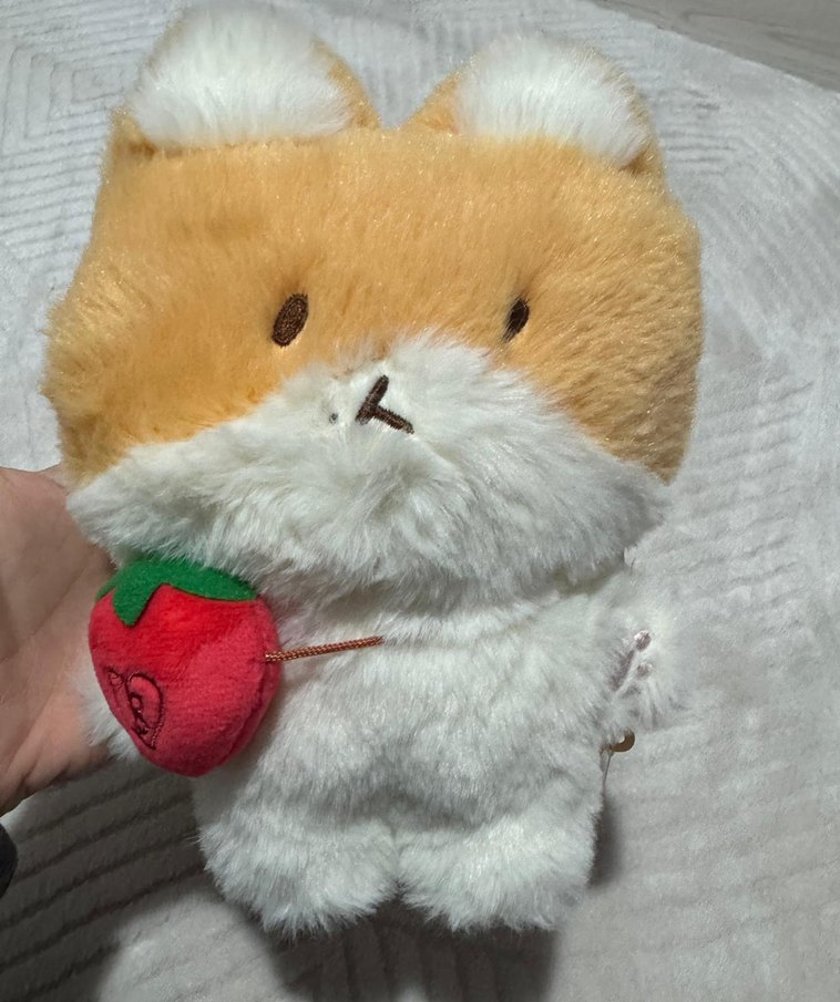 baekhyun teolaegi bebek orijinal - Görsel 3