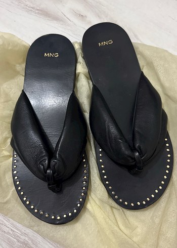 mango 39