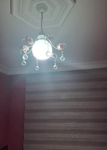 Pembe Çiçek Detaylı Tavan Lambası - Görsel 6