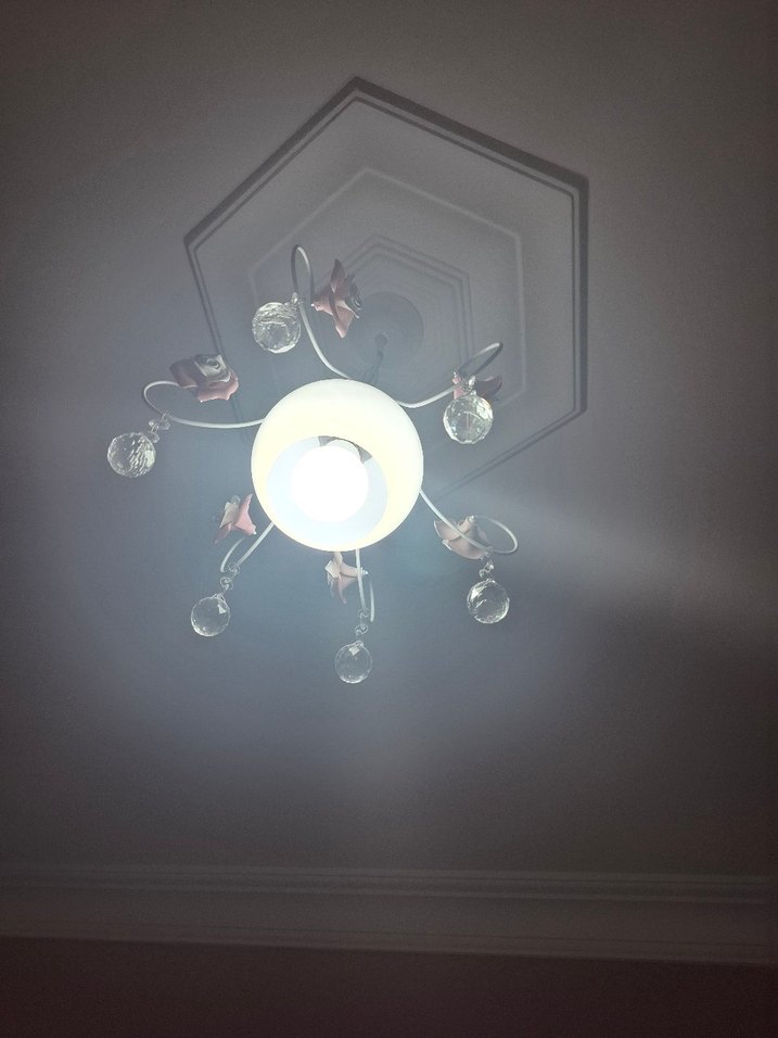 Pembe Çiçek Detaylı Tavan Lambası - Görsel 5