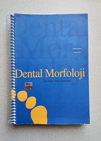 Diş morfolojisi
