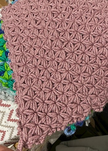 Sokak Hayvanlarına Destek - Görsel 8